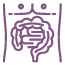 Colangiografia endoscópica (CPRE)